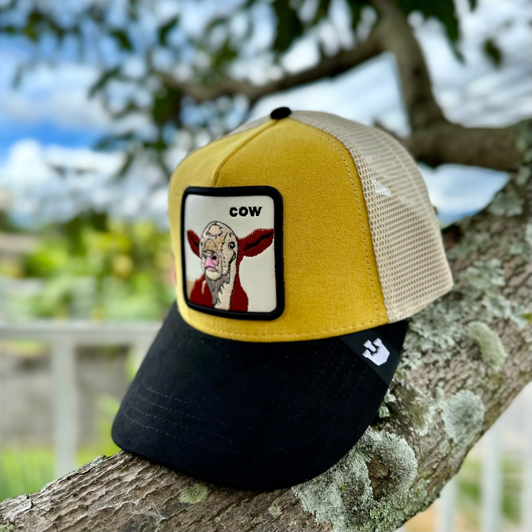Cow Tribu Mates