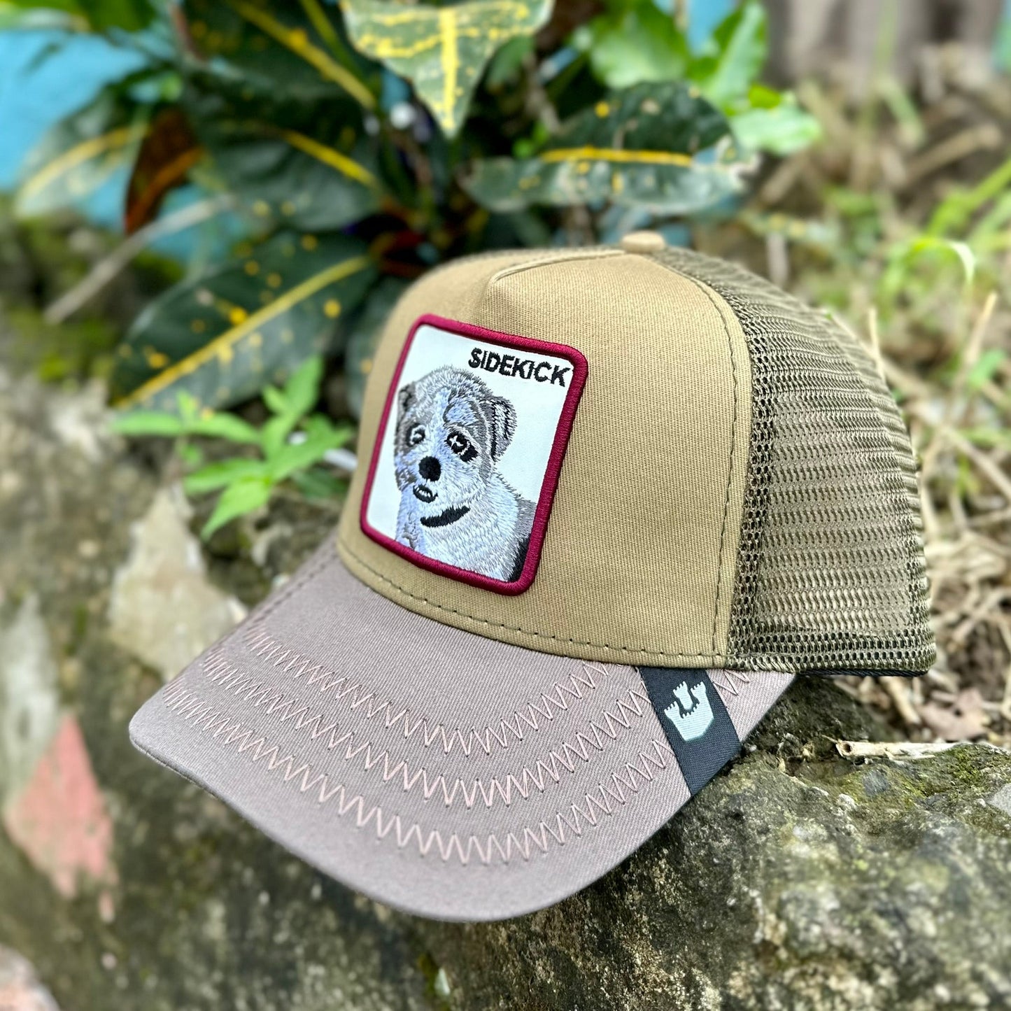 Sidekick Tribu Mates