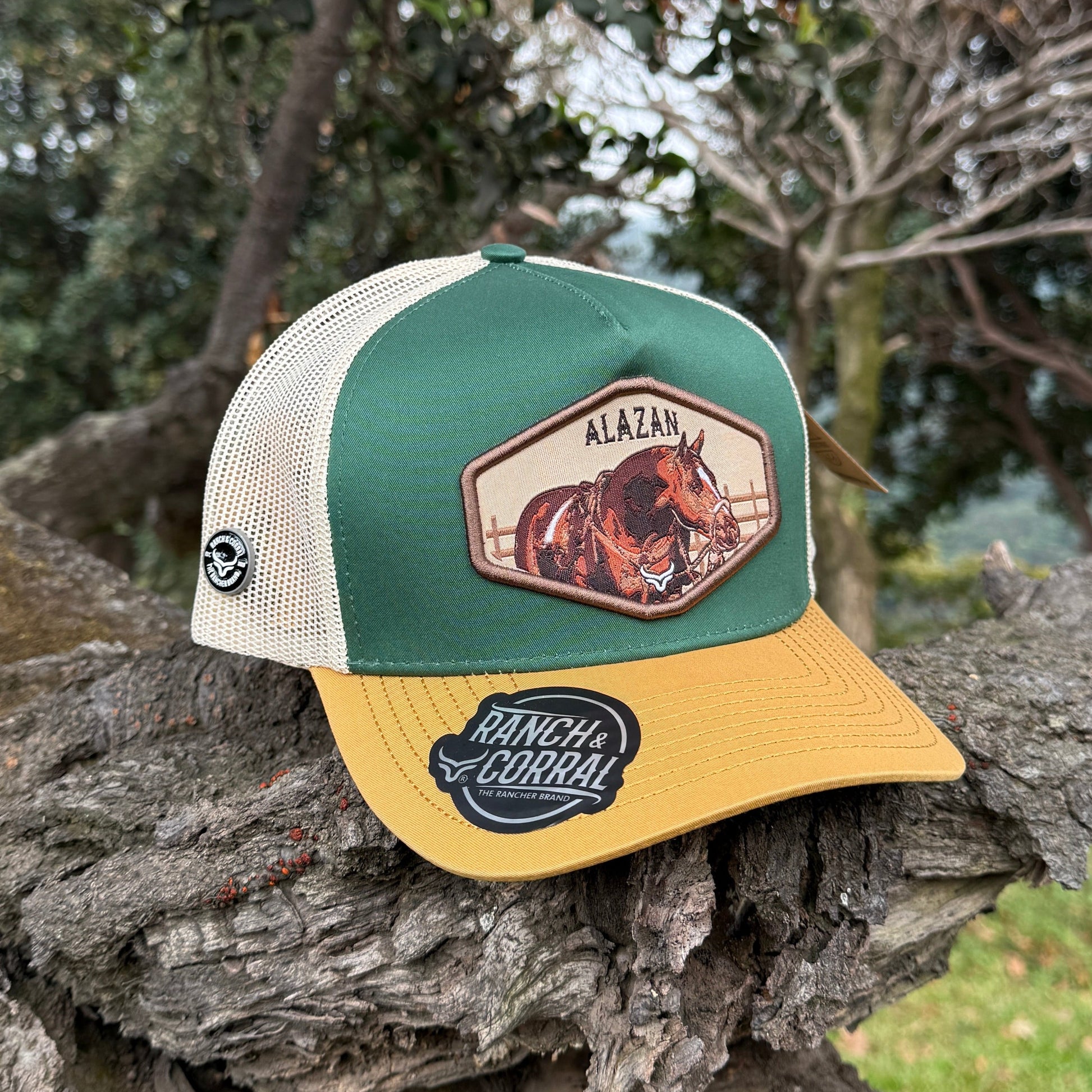 Gorra Ranch & Corral Ranch & Corral