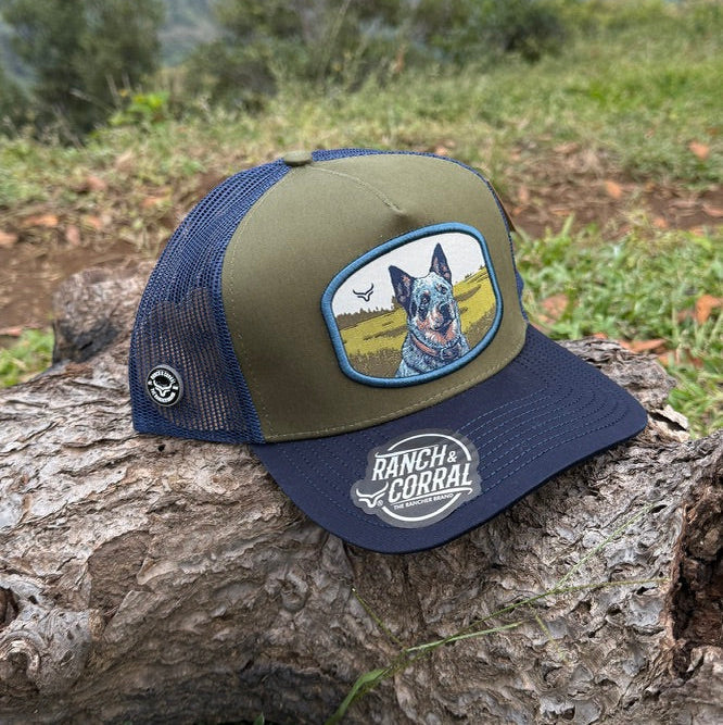 Gorra Ranch & Corral Ranch & Corral