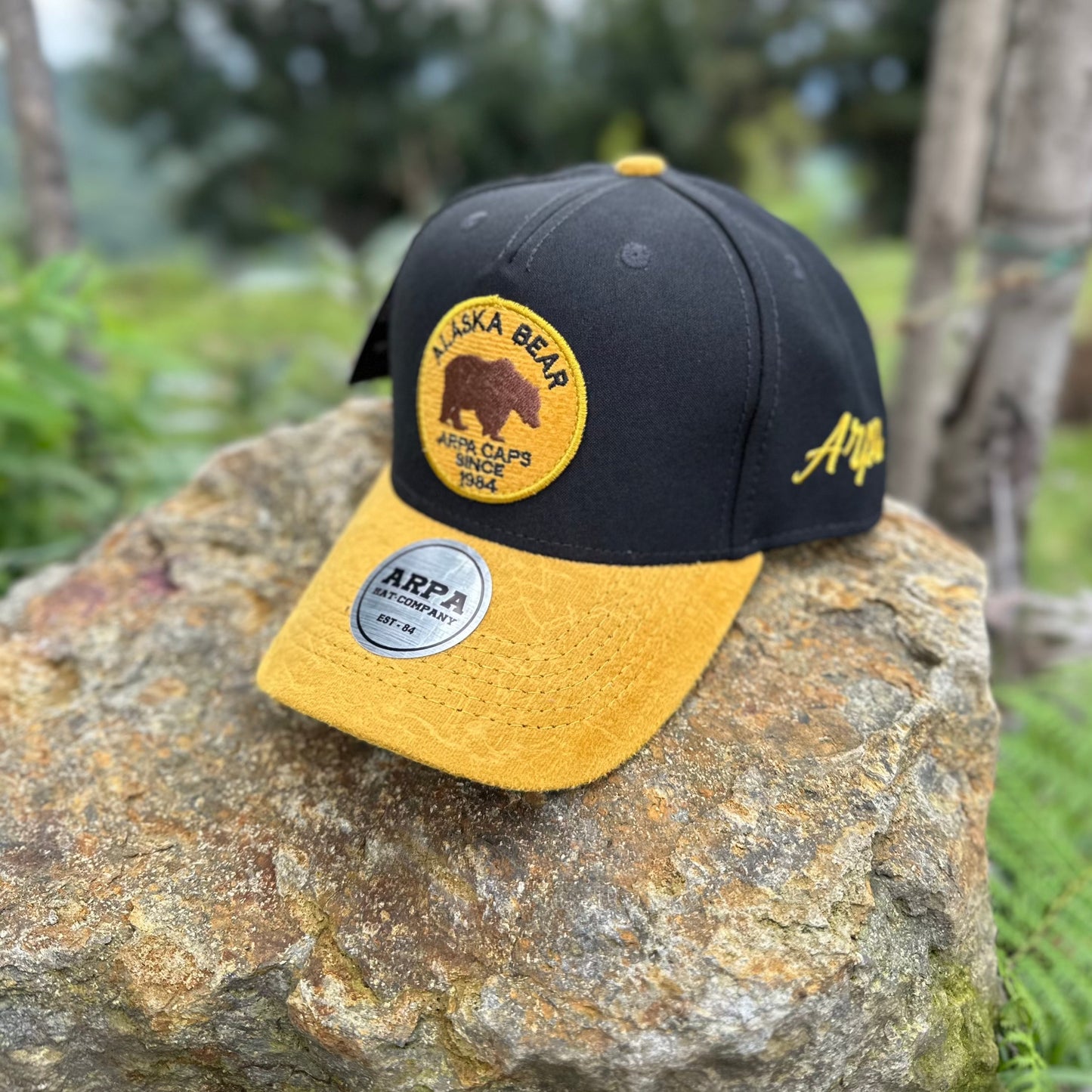 Alaska Bear