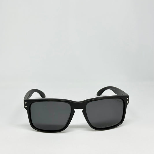 Holbrook Polarized