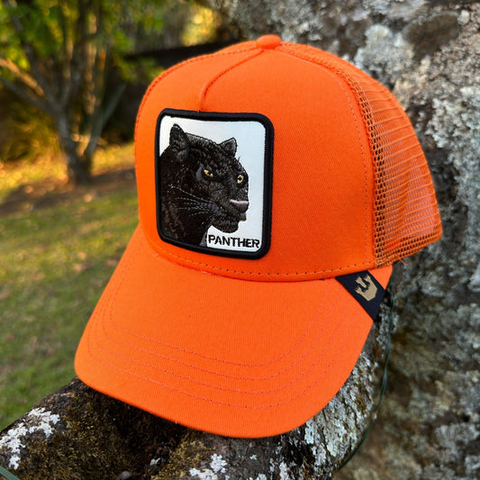 Panther