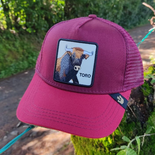 Toro